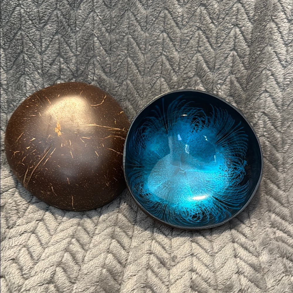 Coconut 🥥 Blue and Brown Decorative Bowl